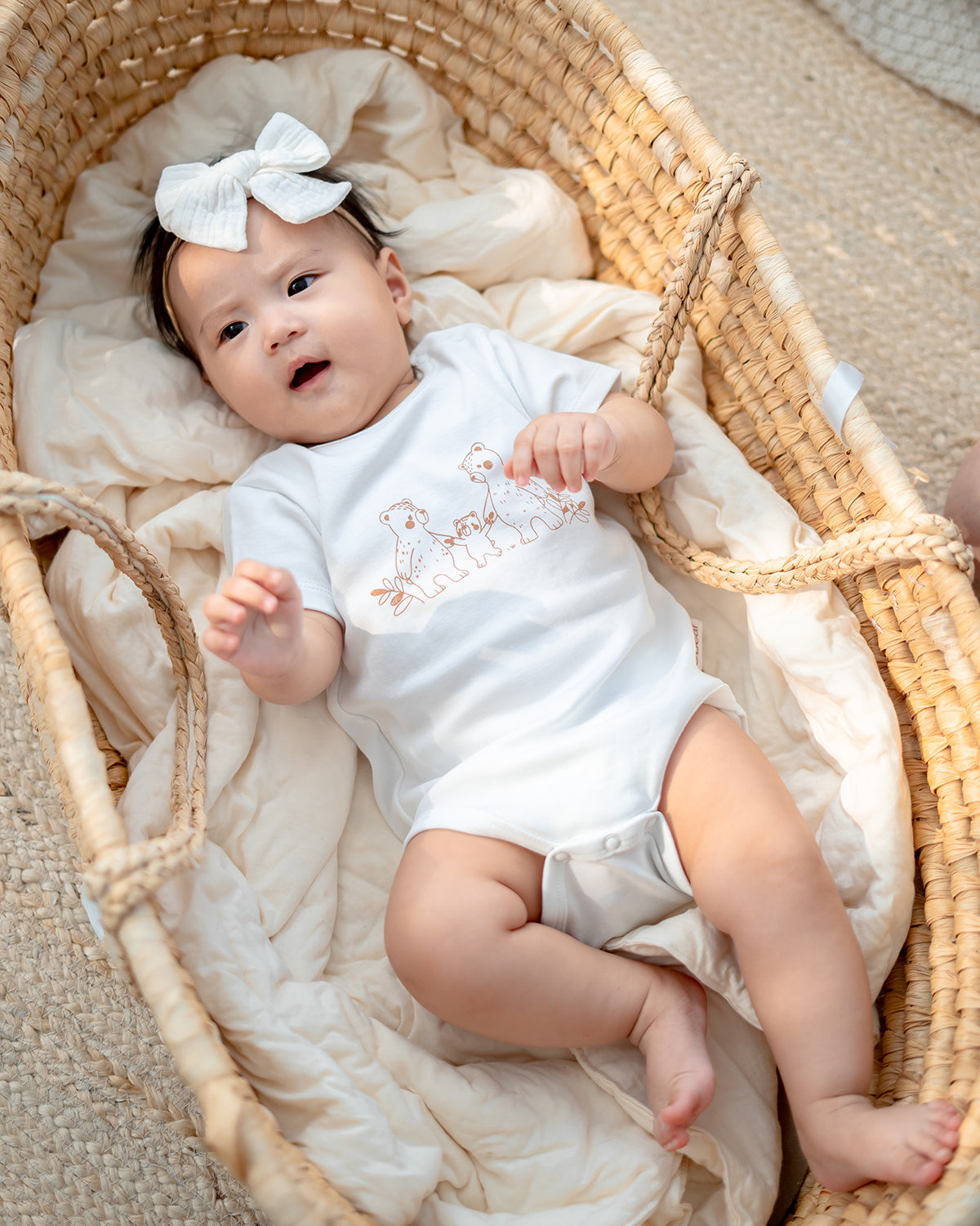 Family Bear Gift Set